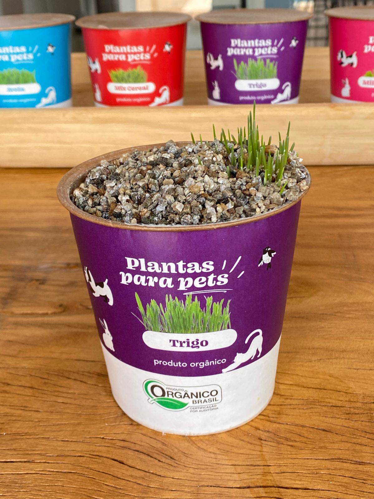 <span style = 'font-size:120%; font-weight: bold;'>Gráfica Tuicial</span><br>Embalagem e Mercado - Pet food, pet care e acessórios