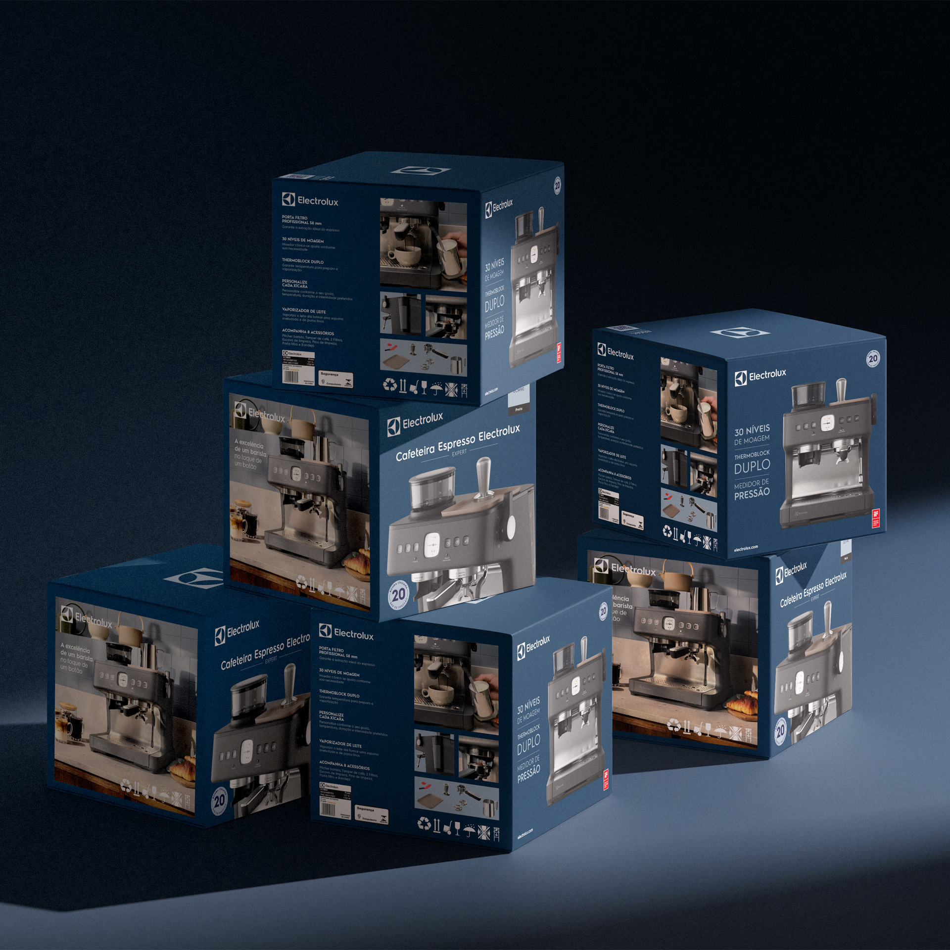 <span style = 'font-size:120%; font-weight: bold;'>Electrolux do Brasil</span><br>Design Gráfico - Produtos em geral