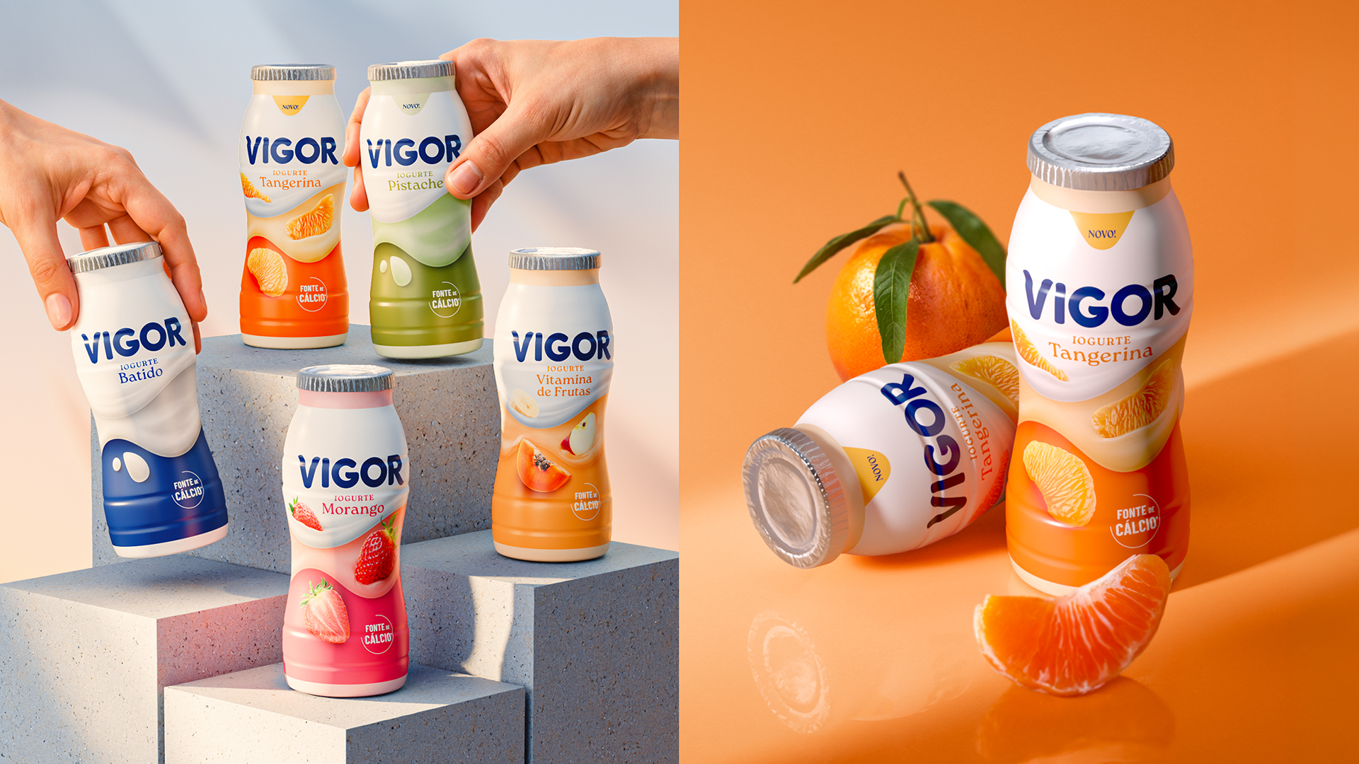 <span style = 'font-size:120%; font-weight: bold;'>A10 Design</span><br>Design Gráfico - Família de produtos