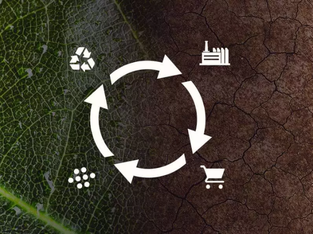 Economia circular de embalagens na prática: gerenciando o portfólio de projetos