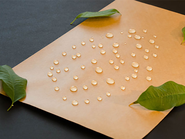 Smurfit Kappa unveils 100% recyclable water-resistant paper