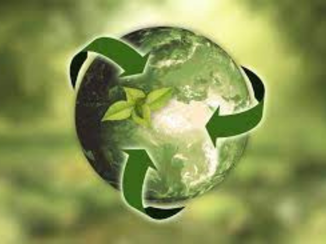 Reunião do Comitê de Sustentabilidade