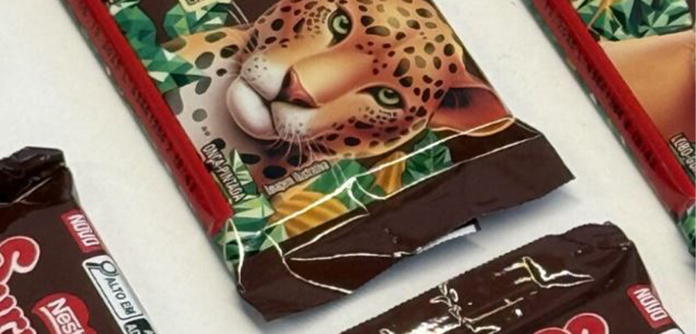 nestle-pp